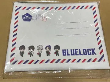 블루 록 플랫 파우치