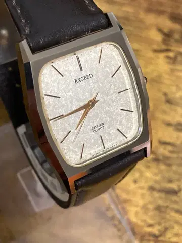exceed citizen 스퀘어 가동품