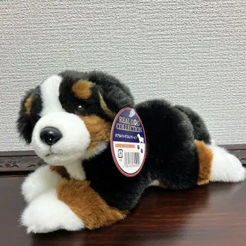 REGALO 봉제 인형 리얼 도그 컬렉션 버니즈 마운틴 도그
