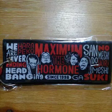 MAXIMUM THE HORMONE 키링 플라이트 택
