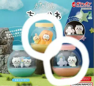 치이카와 카프세리움 토끼