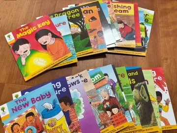 Oxford reading Tree Stage 5 영어 그림책 24세트