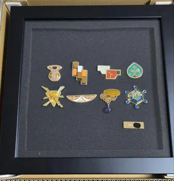 포켓몬 센터 300개 한정판 헬스장 배지 컬렉션 XY 카로스 코르니