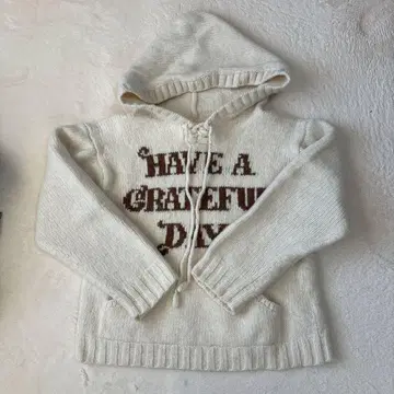 HAVE A GRATEFUL DAY 니트 후드티