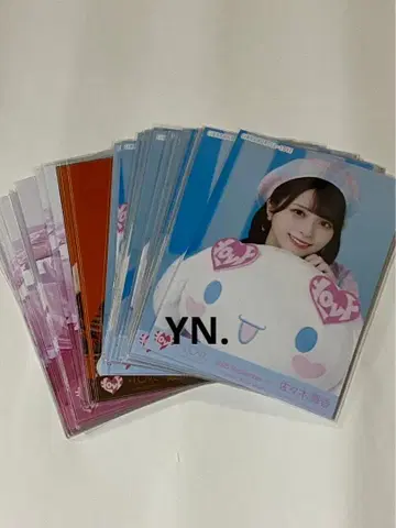 이코럽 브로마이드 묶음 판매 시나몬 러브송