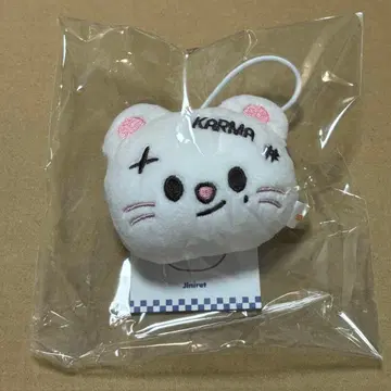 Straykids karma popup 네임택 지니 레트 스키즈