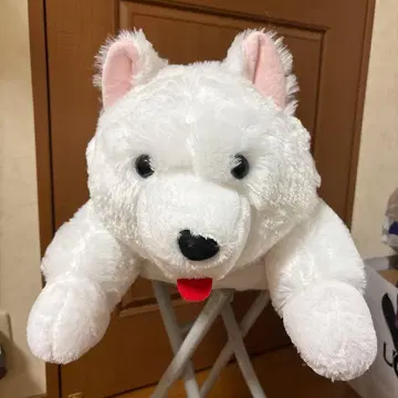 축 늘어진 사모예드군 뒹굴뒹굴 울트라BIG 봉제 인형 사모군 혀 내밀기