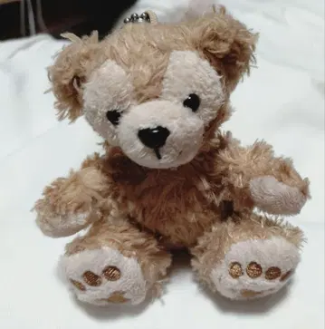 도쿄 디즈니 리조트 더피