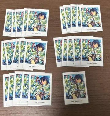 앙스타 파샤츠 준