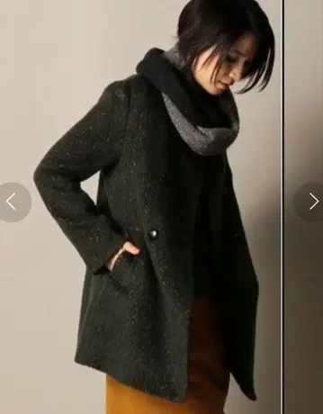 BEAUTY&YOUTH 애니멀 자카드 노카라 코트