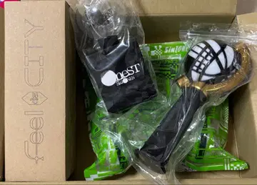 SixTONES 응원봉 VVS oneST feeldaCITY