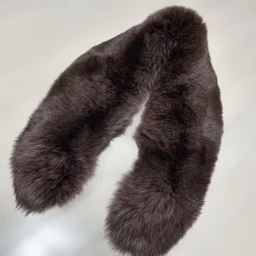 다크 핑크 반려동물 폭스