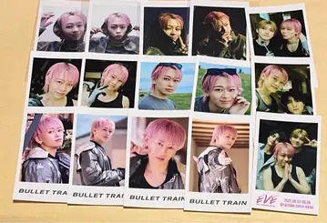 슈야 미니 사진