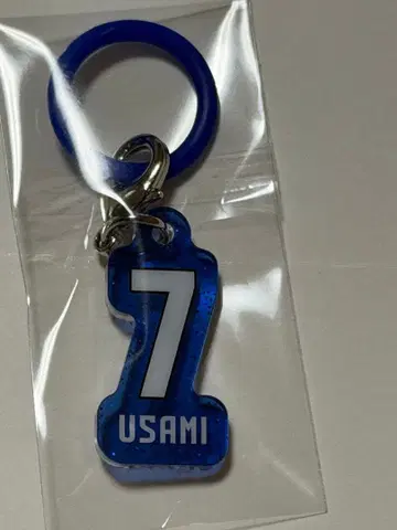 감바 오사카 우사미 타카시 선수 표식 참