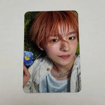 유우시 songbird 봉입 트레이딩 카드