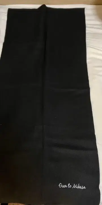 진격의 거인 최종권 혜택 미카사의 머플러