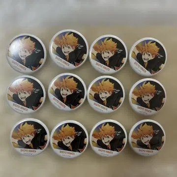 히나타 쇼요 캔뱃지 하이큐 횡단막