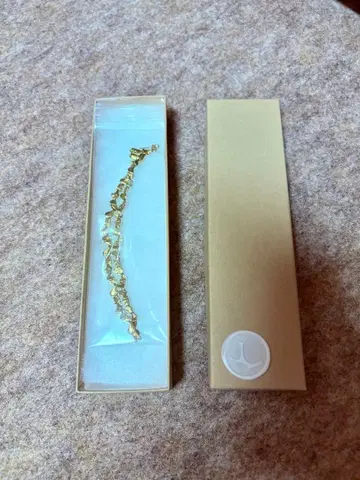 pluie  데브리스 초커 GOLD 골드