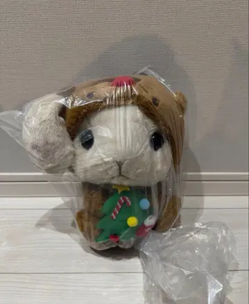 포테우사롯삐 하이퀄리티 크리스마스 JB 챳삐