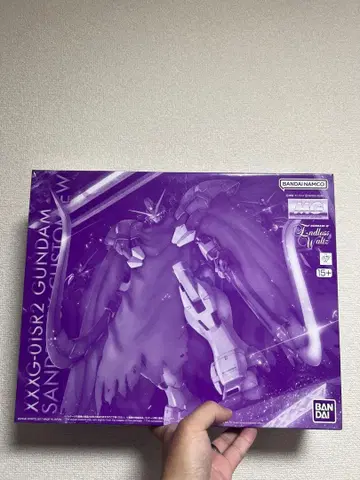 MG 1/100 건담 산드로크 개 EW