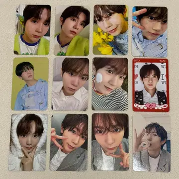 NCT WISH 료 트레이딩 카드 12장 세트 묶음 판매