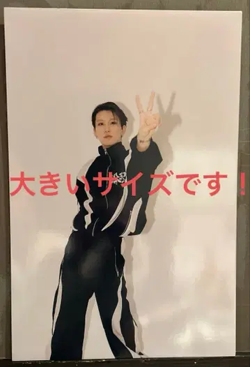 키도페노 야마모토 코타 패널