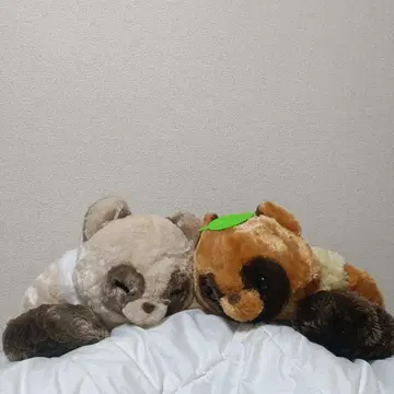 너구리 봉제 인형 ( 나뭇잎 포함 )