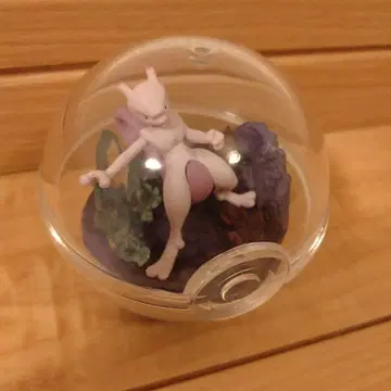 포켓몬 뮤우 테라리움 컬렉션