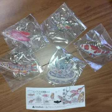 신 마리호 수족관 평면 수족관 5종 namiko