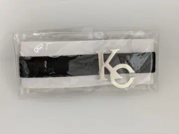 유희왕 카이바 코퍼레이션 멀티 밴딩