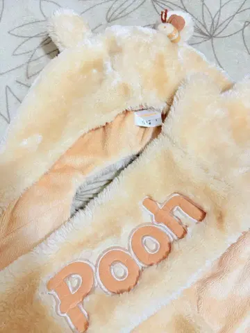 디즈니 곰돌이 푸 팬캡