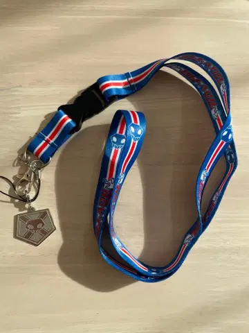 [ 레어 ] BLEACH 사신 대행증 넥스트랩