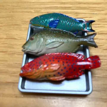 시장에 늘어선 열대어 삿포로 맥주 카이요도 오키나와 물산전