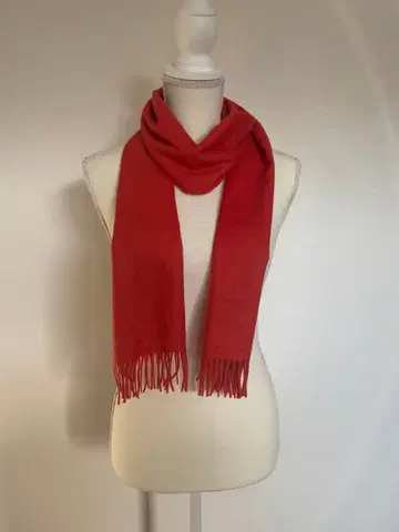 아쿠아 스큐텀 캐시미어 머플러 오렌지