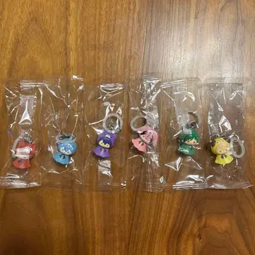 시쿠포니 메지루시 액세서리 컴플리트