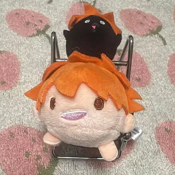 하이큐 히나타 쇼요 치비 누이 일체