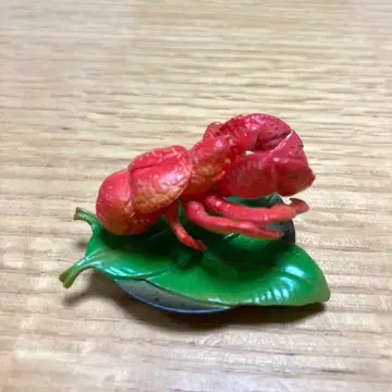 야시가니 (삶은) 삿포로 맥주 카이요도 오키나와 물산전 시크릿