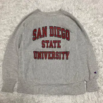 챔피온 리버스 위브 90s 3단 염색 플로키