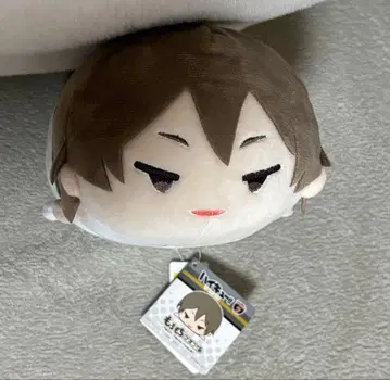 코하 아키 모치마스 모찌모찌 마스코트 MS