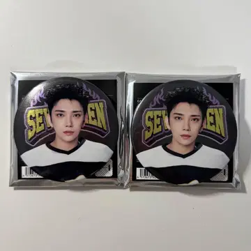 Seventeen 2025 HOME 캔뱃지 조슈아 2점