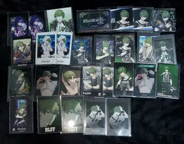 브라스 히스 폴라로이드 모음