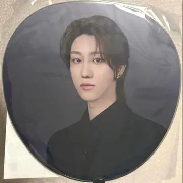 SEVENTEEN NEW_ 부채 이미지 피켓 민하오 THE8