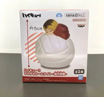 하이큐!! 곤히 잠든 룸 라이트 코즈메 켄마