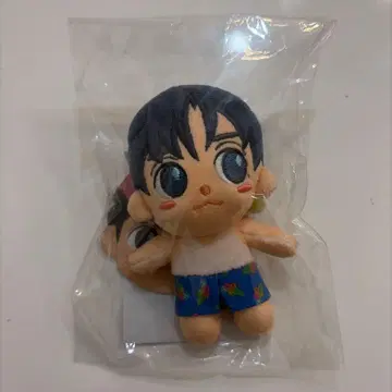 CNBLUE 용화 봉제 인형