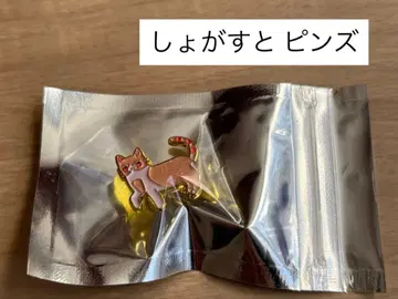 계속 한밤중이면 좋을 텐데. 즈토마요 스나네코 야키야키 양키 가챠 핀즈