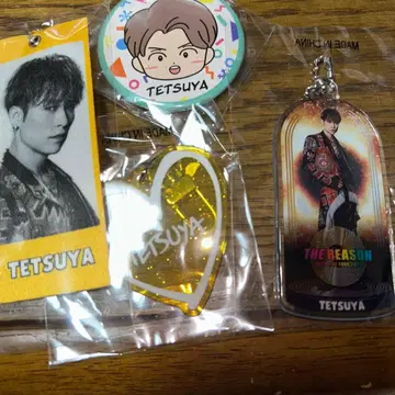 EXILE TETSUYA 캡슐 세트