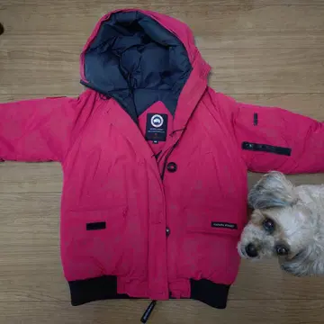 레드 다운 자켓 S/M 사이즈 후드 부착