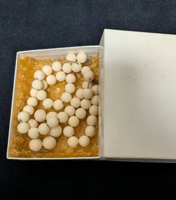 새상품급 FRAPBOIS 염주 목걸이 화이트