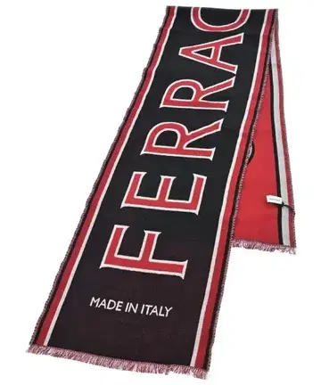 Salvatore Ferragamo 머플러 남성용