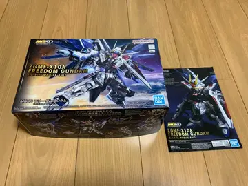 MGSD 프리덤 건담 제작 중